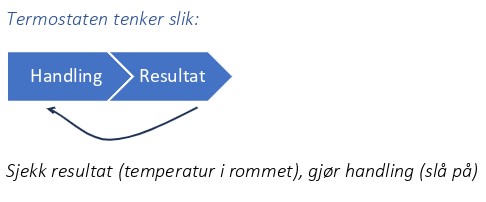 IP Addresses