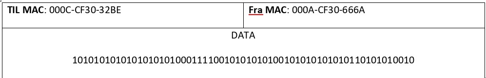 Eksempel på en Ethernet-ramme